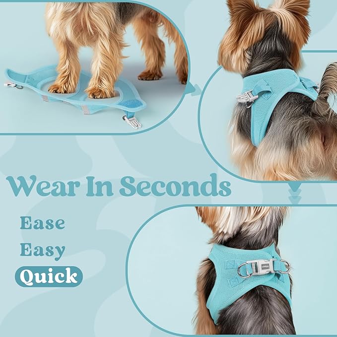 rabbitgoo Small Dog Harness, Step-in Soft Mesh Puppy Vest with Safety Buckle, Breathable Reflective Pet Harness for Small Medium Dogs, Mint Blue L