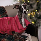 SPACE LION Dog Puffer Jacket, Down Winter Coat, Durable Outdoor Coat for Cold and Windy Conditions, Lightweight & Adjustable Fit Coats for Large Dogs, (Red, Size24/2XL)