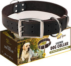 ADITYNA Big Leather Dog Collar - XXL Dog Collar for Giant Breeds Such as Mastiff, Saint Bernard, Newfoundland, Kangal (Black, Giant: Fit 30" - 36" Neck)
