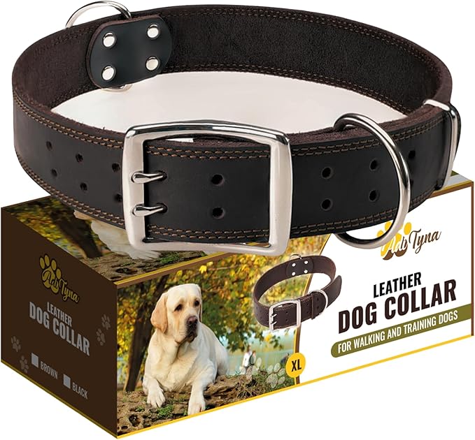 ADITYNA Big Leather Dog Collar - XXL Dog Collar for Giant Breeds Such as Mastiff, Saint Bernard, Newfoundland, Kangal (Black, Giant: Fit 30" - 36" Neck)