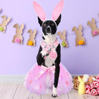 3 Pieces Easter Dog Costume Set Including Easter Rabbit Ears Headband Easter Dog Tutu Dress Cute Pet Tutu Pink Easter Pet Scarf for Medium Dogs Holiday Outfit Accessory
