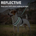 PUPTECK Soft Mesh Dog Harness and Leash Set Pet Puppy Cat Comfort Padded Vest No Pull Harnesses, Checkered Green&White, XS