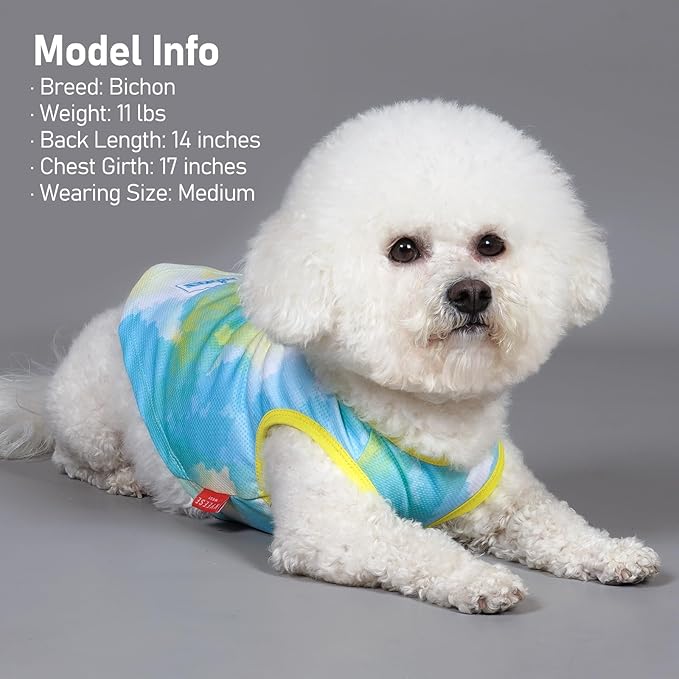 KYEESE 2Pack Dog Cooling Shirt, Breathable Dog Shirt for Small Dogs, Sun Protection Dogs Cooling Vest Tank Top, Lightweight Soft Sleeveless Summer Pet Clothes, Purple+Blue, L