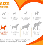 Nylabone Original Bone Power Chew Toy for Dogs, Durable & Tough Dog Toys for Aggressive Chewers, Chicken Flavor, Medium - Up to 35 lbs, 1 Count