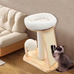 Multifunctional Cat Tree, Wooden Cat Tree Tower with Space Capsule and Scratcher, Cats Climbing Tower Set for Cats Climbing, Scratching, Sleeping, Exercising (Style 01)