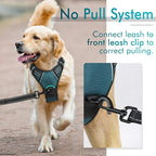 rabbitgoo Dog Harness No Pull with 2 Leash Clips, Adjustable Soft Padded, Reflective Oxford No Choke Pet Vest with Easy Control Handle for Small Dogs, Blue Coral, S