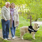 voopet Service Dog Harness,Emotional Support Pet Vest Harness,Reflective Breathable and Adjustable No-Pull ESA Dog Harness for Small Medium Large Dogs (with 4 PCS Removeable Tags) X-Small (Pack of 1)