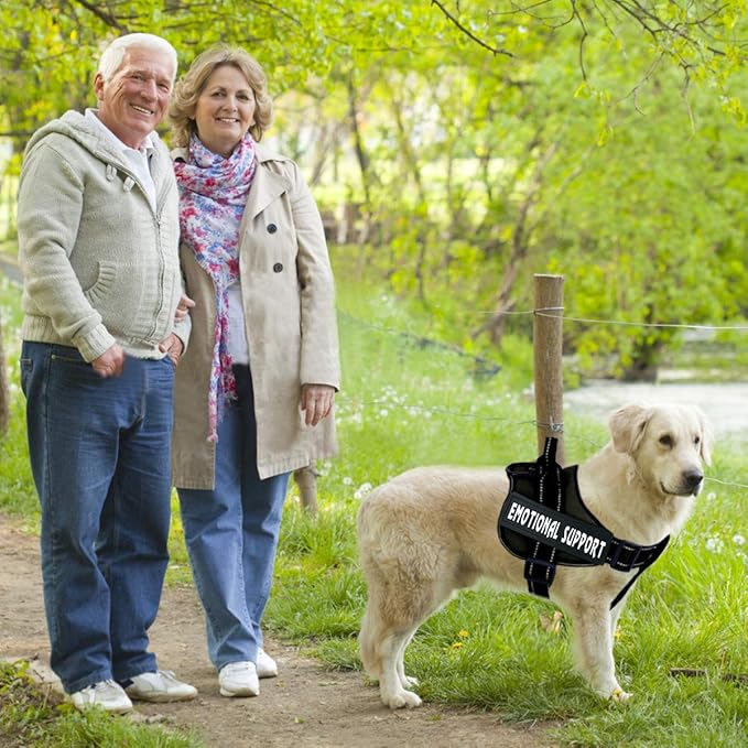 voopet Service Dog Harness, Emotional Support Pet Vest Harness, Reflective Breathable and Adjustable No-Pull ESA Dog Harness for Small Medium Large Dogs (with 4 PCS Removeable Tags)