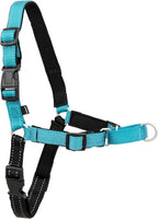 PetSafe Deluxe Easy Walk Harness - Trainer-Trusted Dog Chest Harness with Breathable Martingale Loop Design - Helps Stop Pulling with No Choking & Gagging - Small - Ocean