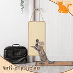 2 Pack Sisal Door Cat Scratching Mat Double Use Hanging Scratcher Wall Floor Mount Cat Scratch Mat Kitty Scratching Pad for Indoor Kitten with Hemp Rope, 7.87"x19.69"(Regular,Natural)