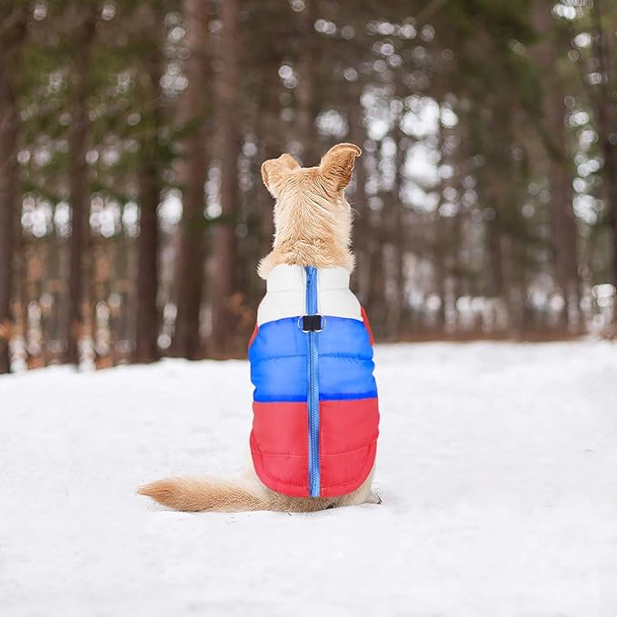 Idepet Pet Dog Cat Coat with Leash Anchor Color Patchwork Padded Puppy Vest Jacket Teddy Chihuahua Costumes Pug Cloth XS S M L(XX-Large,Red)