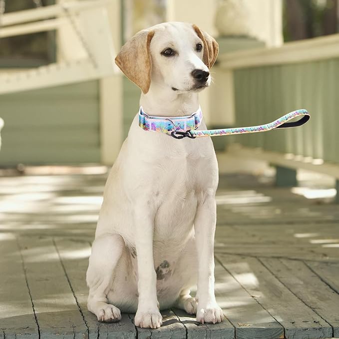 Martingale Collar and Leash Set, Premium No Slip Martingale Collar for Dogs Medium Large, Girl Dog Collars Training (NO27, M)