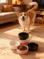 Set of 2 Pink Ceramic Dog Bowls for Food and Water, 5 Inch Wide Cute Pet Dishes for Small Size Dogs/Puppy