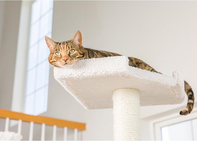 Armarkat Cat Tree Model B7801, Alabaster, 32"(L)X27"(W)X78"(H)