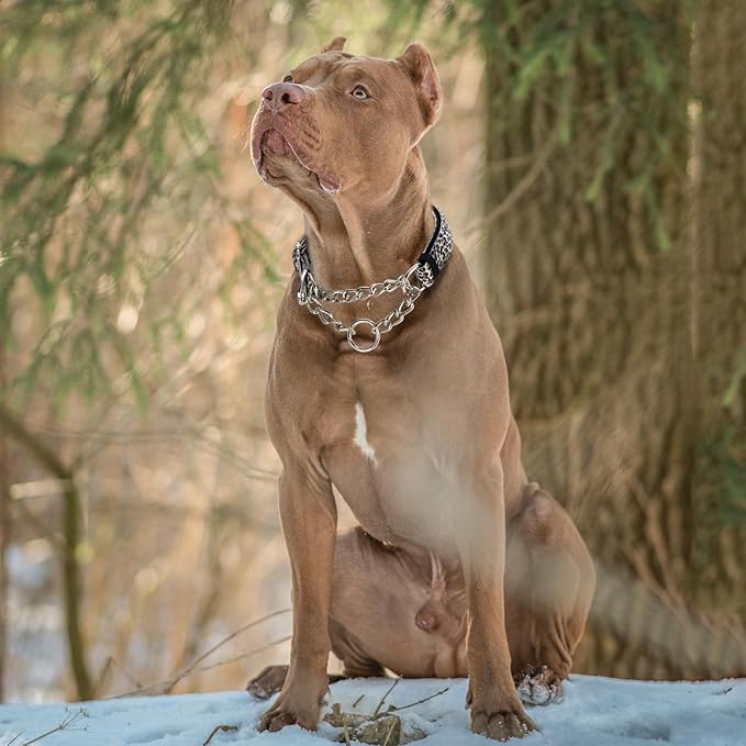 Martingale Collar for Dogs with Chain, Adjustable Soft Durable Choke Collar for Medium Large XL No Pull Training Dog Collars-Brown Leopard M