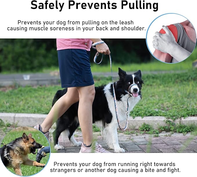BARKLESS Dog Head Collar, Anti-Pulling Printed Head Halter with Leash, Gentle Snout Harness with Adjustable Clip for Small Medium, and Large Dogs Leash Training