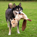Best Pet Supplies Squeaky Dog Toys with Soft Durable Fabric for Small, Medium and Large Pets Interactive Toy for Indoor Play, Supports Active Biting and Play - 4 Figures, Medium