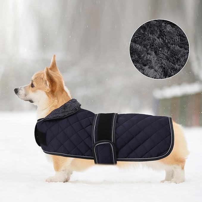 Geyecete Corgi Sweater for Dogs Warm Thermal Quilted Corgi Coat,Dog Winter Coat with Warm Fleece Lining,Outdoor Corgi Clothes Dog Apparel Navy-M