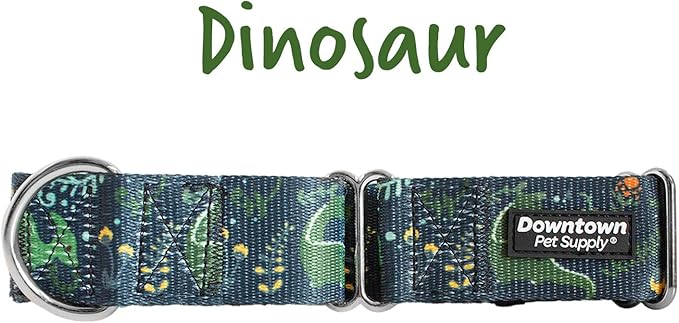 Downtown Pet Supply - Martingale Collar for Dogs - Dog Training Collar - Big, Wide & Thick Dog Collar - Escape-Proof, Weatherproof, Durable and Comfortable - Dino - Medium Dog Collar
