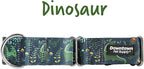 Downtown Pet Supply - Martingale Collar for Dogs - Dog Training Collar - Big, Wide & Thick Dog Collar - Escape-Proof, Weatherproof, Durable and Comfortable - Dino - Extra Large Dog Collar
