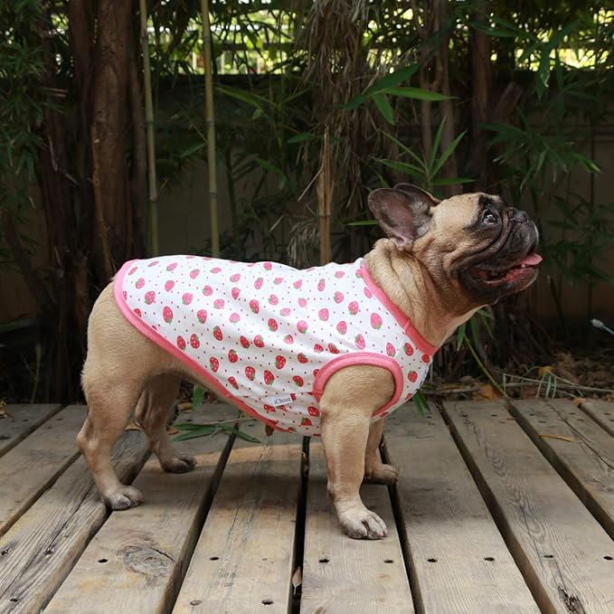 iChoue 100% Breathable Cotton Pug Halloween Cartoon T Shirts Cute Clothes for Dogs Vest Tank Tops Puppy French Bulldog Frenchie English Boston Terrier Strawberry - Small