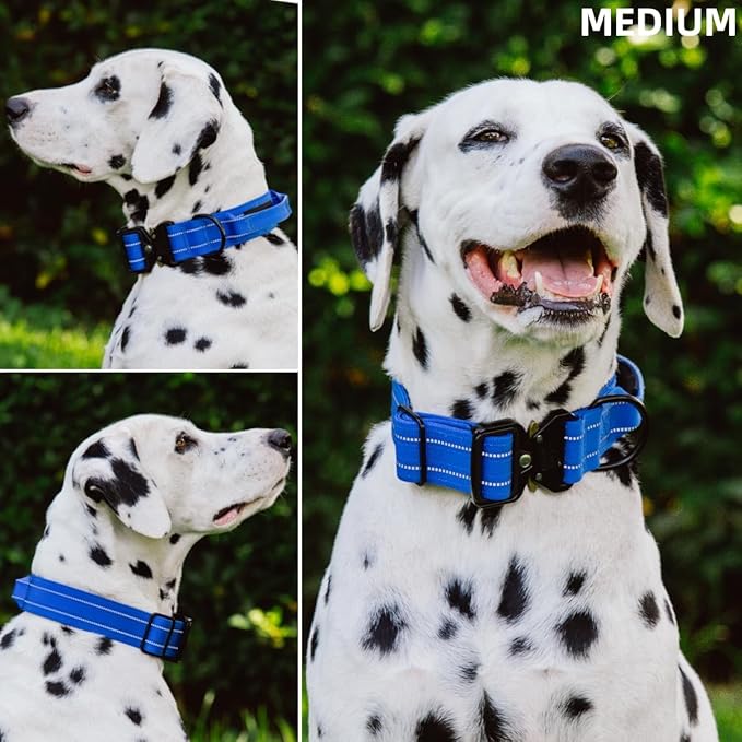 Tuff Pupper Tactical Dog Collar with Handle | Heavy Duty Adjustable Dog Collar | Military Nylon Collar for Medium Dogs | Quick-Release Buckle | Soft Padded Comfort | Training Control (Blue, Medium)