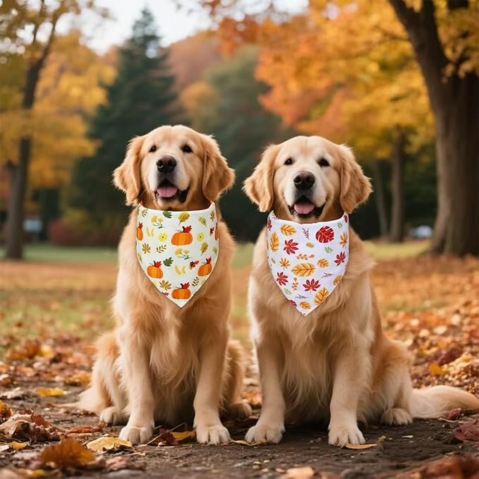 Thanksgiving Dog Bandanas 2-Pack for Large to X-Large Dogs - Reversible Pumpkins & Fall Leaves Print Scarf, Cozy Pet Family Gatherings Accessories