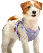 Wisedog Dog Harness Medium Sized, Pet Vest with Front Clip, Adjustable Puppy Harness with 3 Fast Release Buckles[Easy to Put on & Take Off] (Lilac, XS)