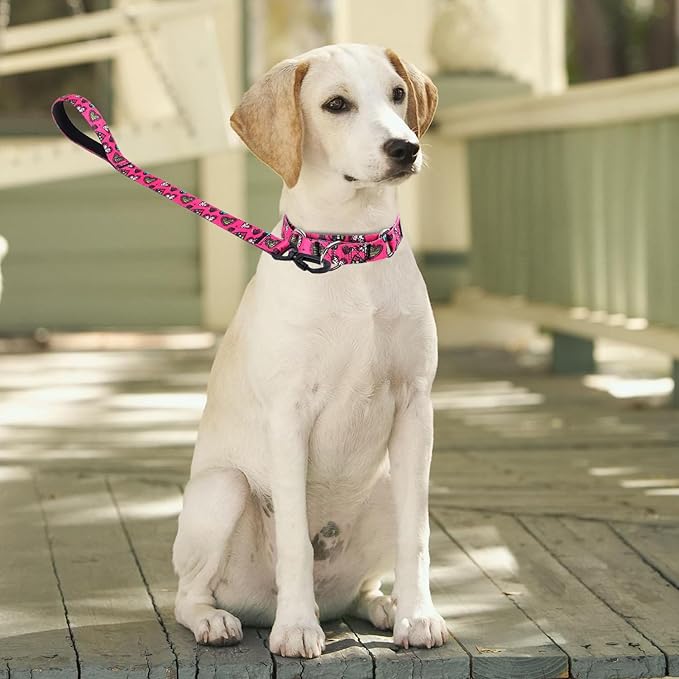 Martingale Collar and Leash Set, Premium No Slip Martingale Collar for Dogs Medium Large, Girl Dog Collars Training (NO5, L)