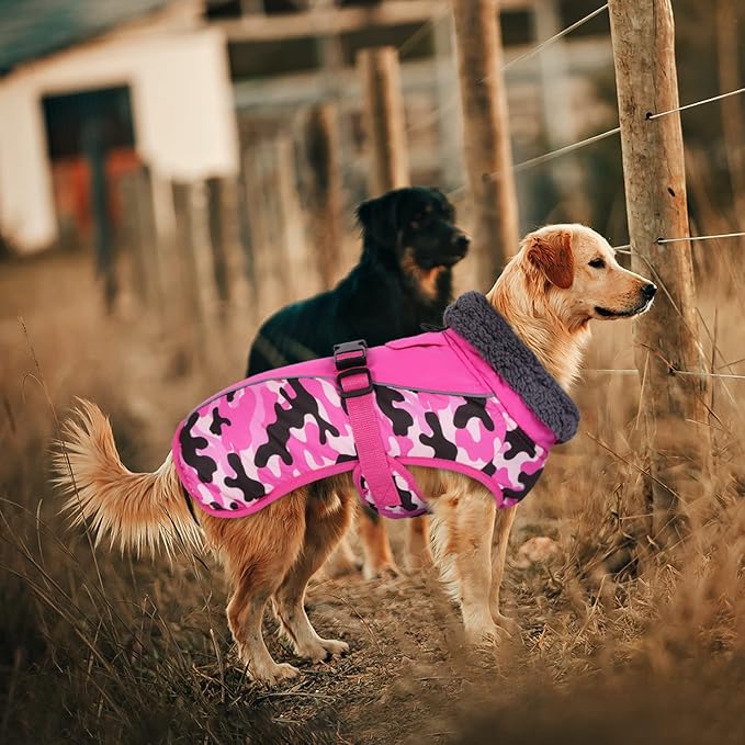 IECOii Extra Warm Dog Coat - Reflective Adjustable Jacket With Buckle Fleece Turtleneck for Cold Weather - Soft Winter Coat for Small Medium Extra Large Dogs
