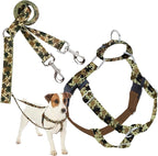 2 Hounds Design - Freedom No-Pull Harness & Training Leash in Green Mud | Dual Leash Loops, No Pulling on Walks | Lined to Prevent Chaffing | for Small Sized Dogs (Size S, Chest 20”- 24”)