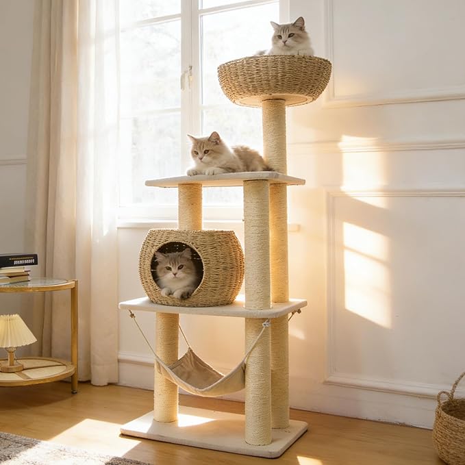 Wood Cat Tree for Indoor Cats, 52.4 Inch Tall, with Scratching Post and Hammock