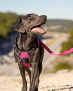 Joytale No Pull Dog Harness for Extra Large Dogs, Reflective Pet Vest with Front Clip, Adjustable Soft Padded Harnesses with Easy Control Handle for Training and Walking, Hot Pink, XL
