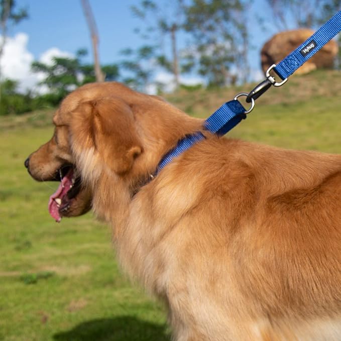 Hyhug Martingale Collar for Dogs Large Blue |Escape - Proof Heavy Duty Nylon Durable No Pull, Ideal for Training & Daily Walks