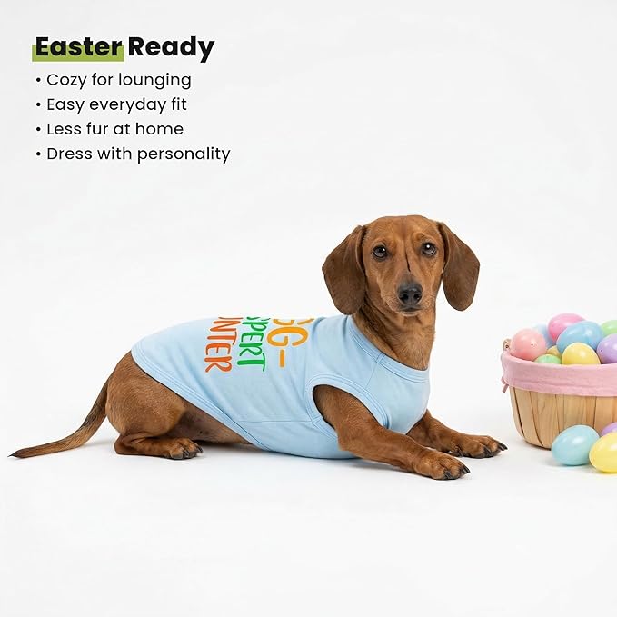 Fitwarm Egg-spert Hunter Dog Easter Outfit, Summer Clothes for Small Dogs Boy Girl, Pet Outfit, Blue, Red, Green, Orange, Medium
