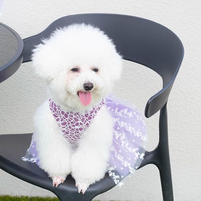 CuteBone Dog Birthday Dress Girl Puppy Skirt Tutu Cat Wedding Outfit Pet Party Clothes for Small Dogs Costume DD14S