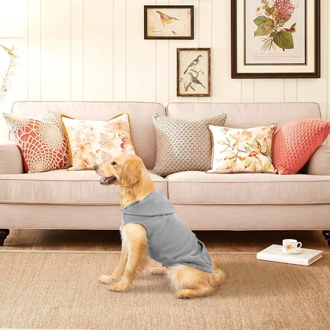EXPAWLORER Dog Hoodie Fleece Sweater Vest, Hooded Dog Sweatshirt Fall Winter Pet Clothes with Leash Ring, Sleeveless Warm Cozy Puppy Clothing for Cat Small Medium Large Dogs Girl Boy, Grey XS