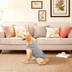 EXPAWLORER Dog Hoodie Fleece Sweater Vest, Hooded Dog Sweatshirt Fall Winter Pet Clothes with Leash Hole, Sleeveless Warm Cozy Puppy Clothing for Cat Small Medium Large Dogs Girl Boy, Grey L