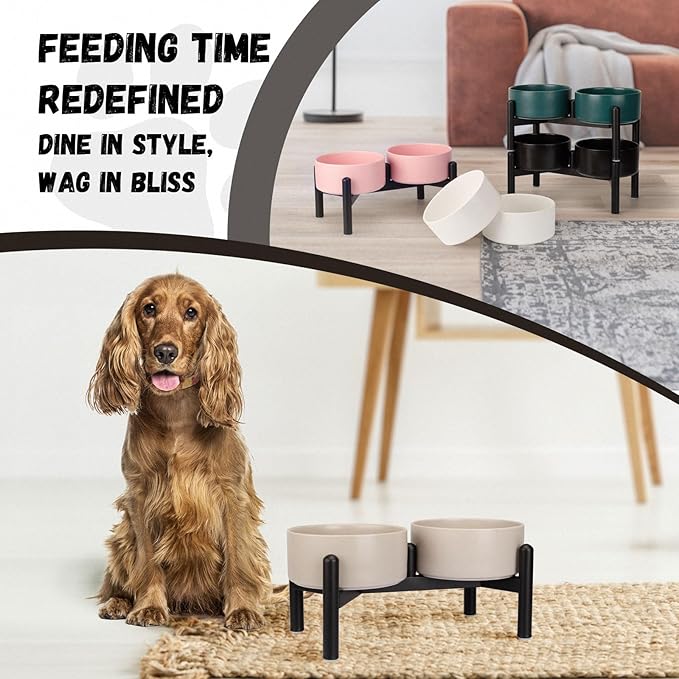 Raised Ceramic Dog Bowl Set - Elevated Double Dishes with Stainless Steel Stand - Food and Water Bowls for Small to Medium Dogs - Each Holds 2 Cups (28.75 fl oz) - Black