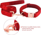 Bubblepup Velvet Dog Collar and Leash Set, Dog Collars for Small Medium Large Dogs Leash for Training & Walking