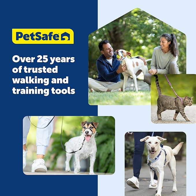 PetSafe Martingale Collar with Quick-Snap Buckle - Adjustable No-Slip Quick Release Dog Collar - Everyday Wear No-Pull Training Aid - 3/4" Wide - Medium - Deep Purple