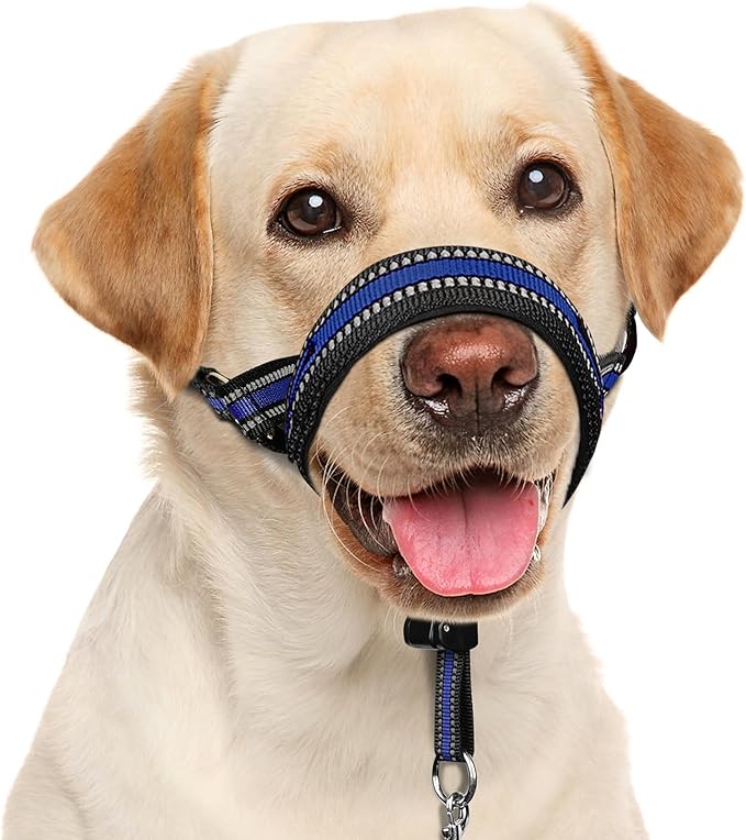 BARKLESS Soft Dog Head Collar, Patented Padded No Pull Head Halter, Training Nose Leash with Safety Link for Medium Large Dogs, Adjustable Muzzle Leash, Easy Control for Walking(Blue, M)