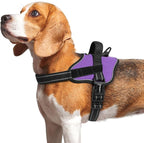 rabbitgoo Dog Harness Medium Sized, No Pull No Choke Pet Vest, Easy Wearing with One Buckle, Reflective, Adjustable Pet Harness with Molle for Walking, Training, Purple, M