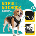 No Pull Dog Harness and Leash Set for Medium Dogs – Adjustable Reflective Breathable Soft Padded Easy Control Dog Harness for Training & Walking, Black (Medium)