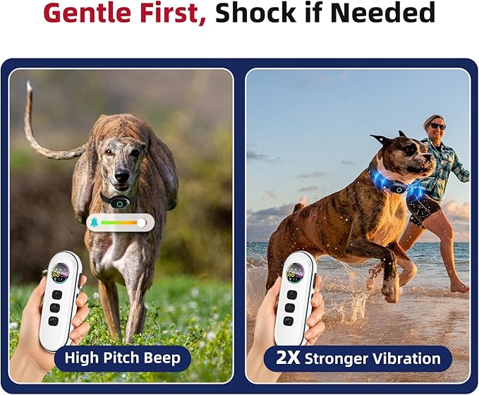 2025 Upgraded Shock Collar for Dogs, Dog Training Collar with Remote Control for Medium Large Dogs, 3 Training Modes - Beep, Vibration and Shock with Safety Lock, IPX7 Waterproof, Rechargeable,Black