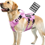 WINSEE Escape Proof Dog Harness, Service Working Molle Harness with Double Handle, Tactical Pet Vest with 4 Patches for Small Medium Large Dogs Walking Hiking Hunting