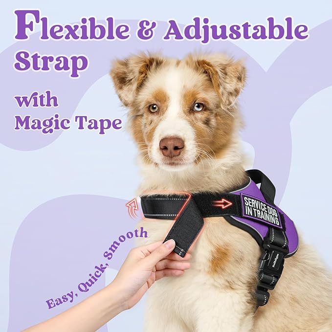 rabbitgoo Dog Harness Medium Sized, No Pull No Choke Pet Vest, Easy Wearing with One Buckle, Reflective, Adjustable Pet Harness with Molle for Walking, Training, Purple, M