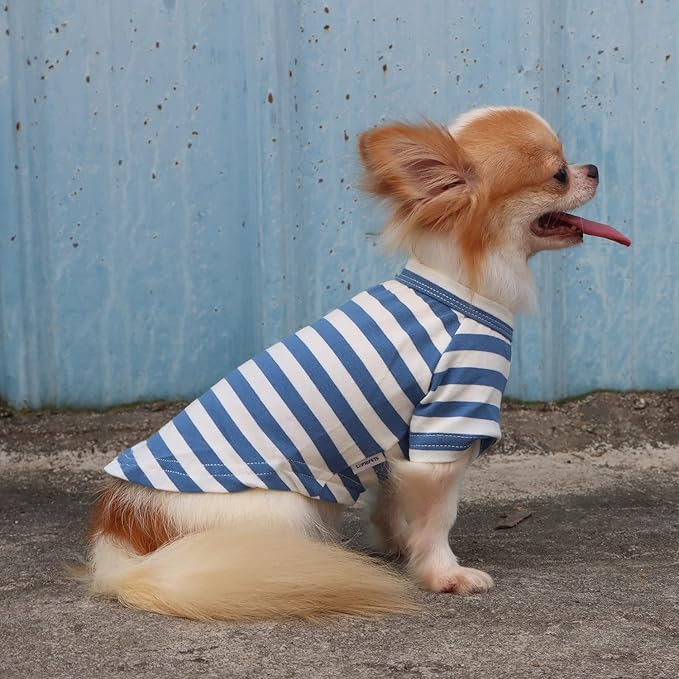LOPHIPETS 100% Breathable Cotton Striped Dog Tee Shirt T-Shirt for Small Dogs Chihuahua Puppy Clothes -Blue and White Strips/L