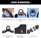 PHOEPET No Pull Dog Harness 3M Reflective Adjustable Vest with a Training Handle, Name ID Pocket, 2 Metal Leash Hooks, 3 Snap Buckles [Easy to Put on & Take Off](XL, Baby Blue)