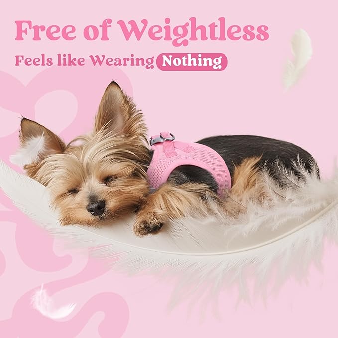 rabbitgoo Small Dog Harness, Step-in Soft Mesh Puppy Vest with Safety Buckle, Breathable Reflective Pet Harness for Small Medium Dogs, Light Pink L